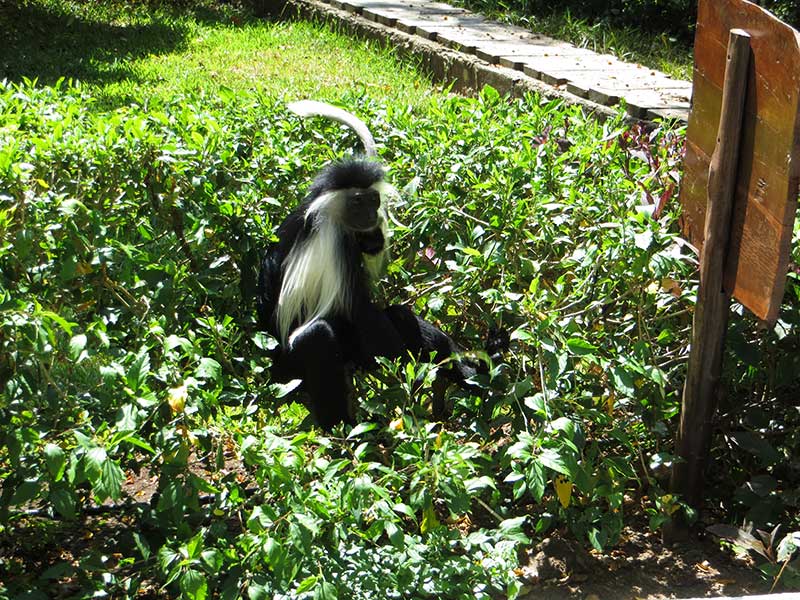 Hotel_Baobab_Resort_und_Spa_04.jpg