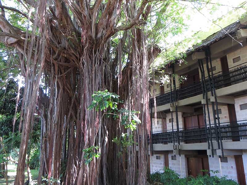 Hotel_Baobab_Resort_und_Spa_12.jpg