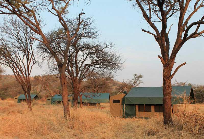 Serengeti_View_Camp_02.jpg