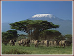 Amboseli Nationalpark