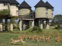 2 Tage Tsavo Ost Taita Hills Salt Lick Lodge