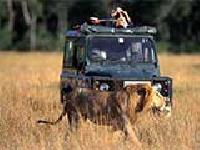 3 Tage Jeep Tsavo Ost und West