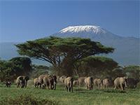 4 Tage Jeep Tsavo West Amboseli und Tsavo Ost