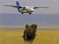 5 Tage Flug Jeep Tsavo West und Amboseli Masai Mara Oloshakai